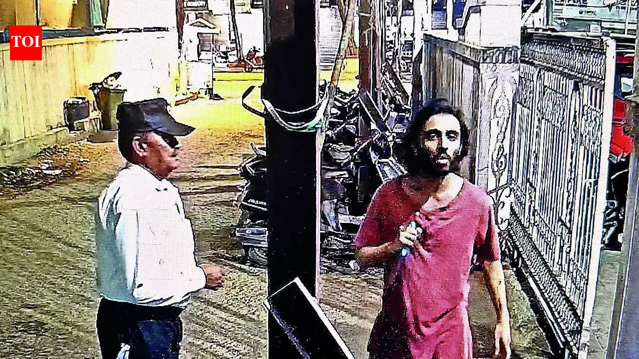 'Lone wolf' asks 2 guards their faith, stabs them