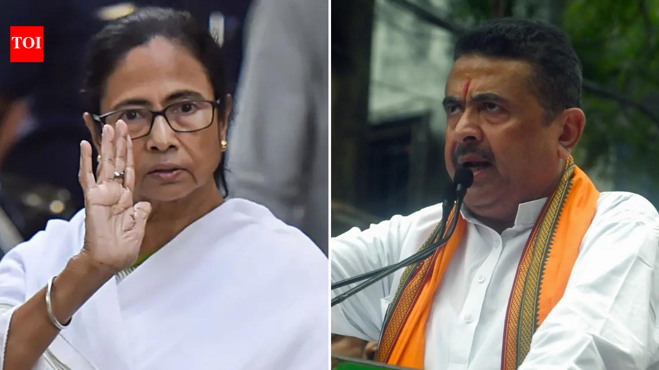 'Forcefully rigging elections': Mamata's big charge against BJP as Bengal votes in phase 2 polls