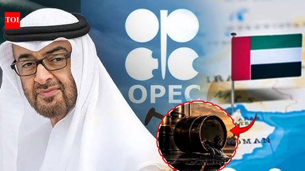 Setback for Saudi Arabia: Can Opec survive the exit of 'naughty boy' UAE?