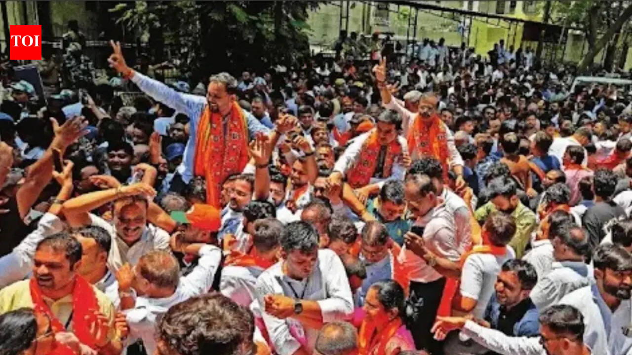 Gujarat local body polls: BJP wins over 90% seats, 10 civic bodies left without LoPs