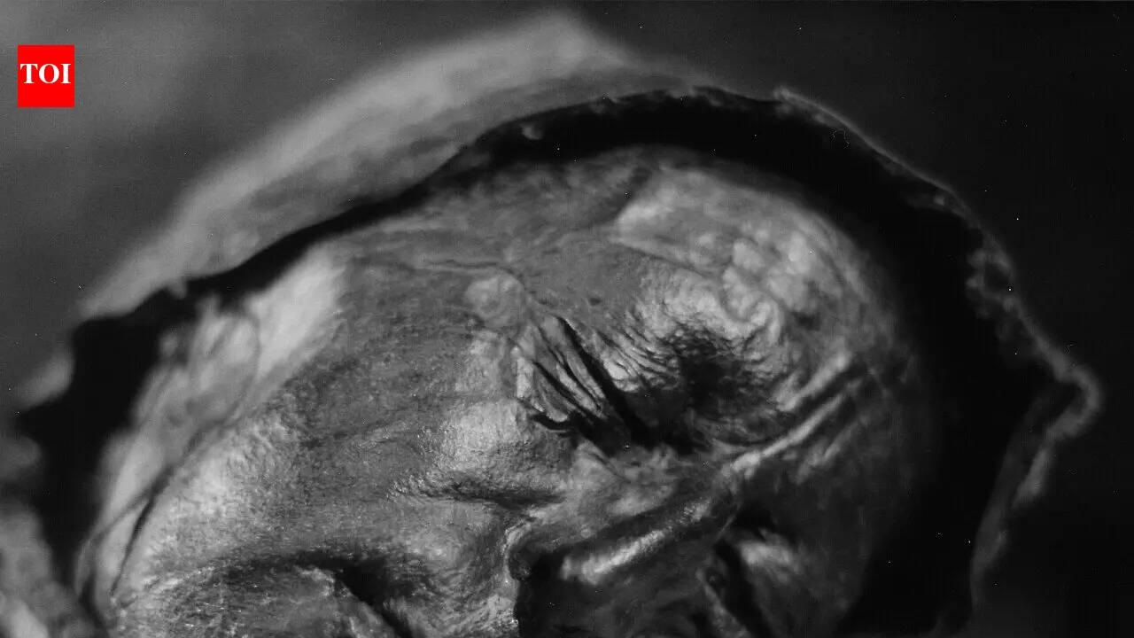 In 1950, a routine cut through a Danish bog revealed a face so fresh it looked alive until it was dated to 300 BCE