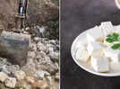 Why did FSSAI bury 900 kg of paneer, worth ₹2.25 lakh, and why one has to be extra careful while buying it in summer