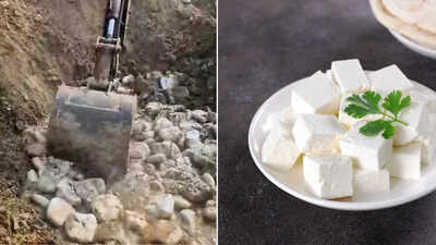 Why did FSSAI bury 900 kg of paneer, worth ₹2.25 lakh, and why one has to be extra careful while buying it in summer