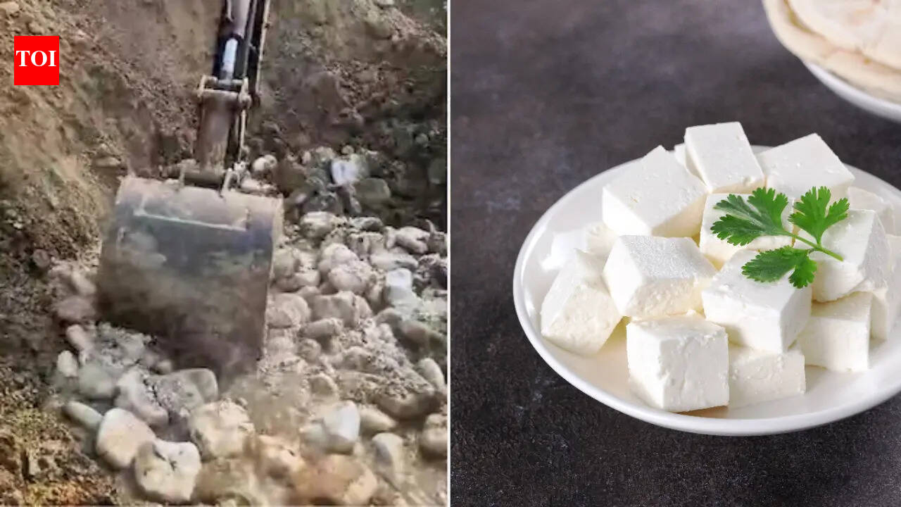 Why did FSSAI bury 900 kg of paneer, worth ₹2.25 lakh, and why one has to be extra careful while buying it in summer