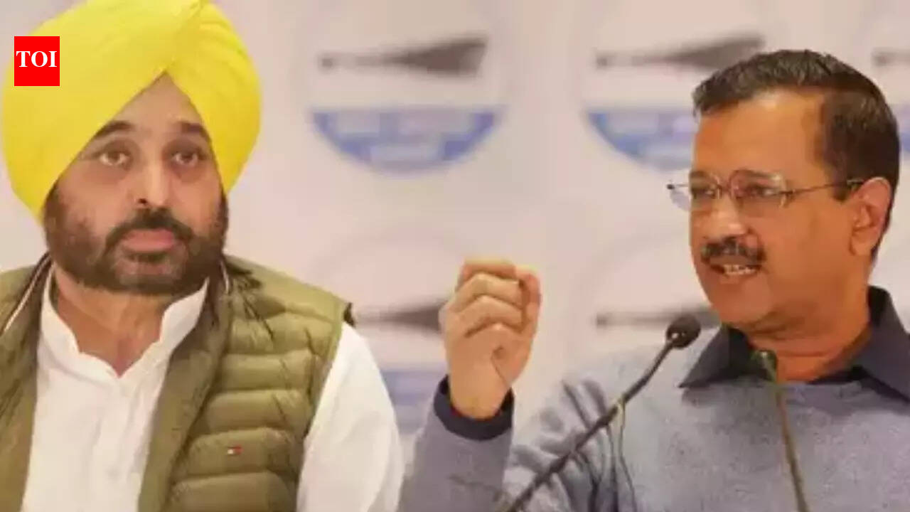 Punjab CM Bhagwant Mann to meet President Murmu on May 5 after 7 AAP MPs join BJP
