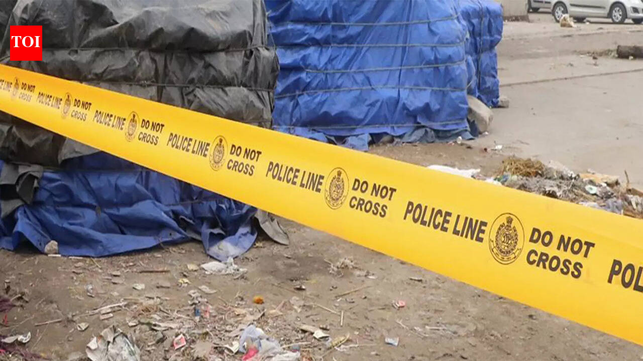 Delhi horror: Man kills tenant over affair suspicion with wife, walks into police station to confess