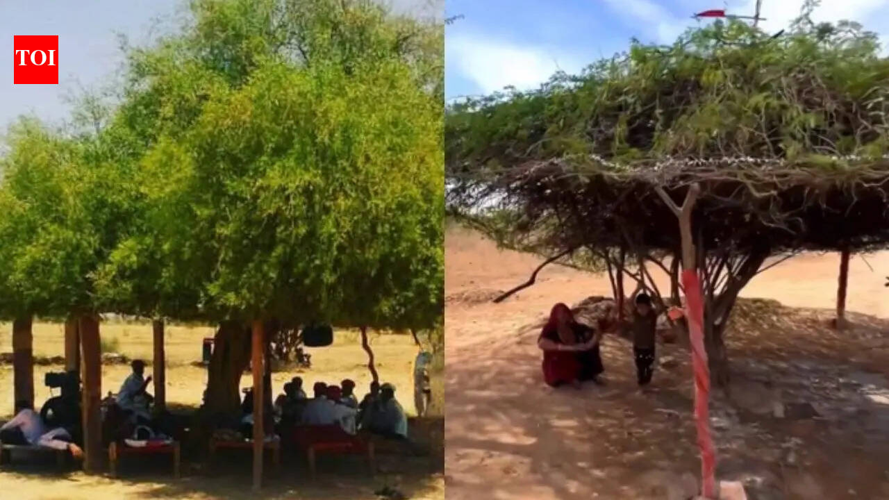 What is mithi jal: Rajasthan's desi AC system that keeps surroundings 8 degrees cooler than outside in summers