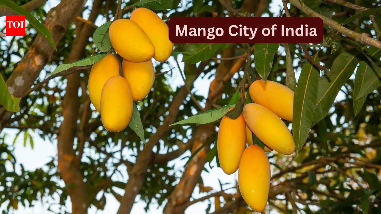 Why May is the best time to visit the “Mango City of India” and how to reach here