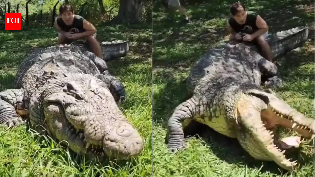 Meet Henry: The world’s oldest crocodile, still alive at 124 and still growing