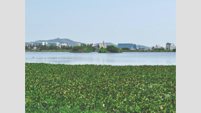 Discover Nanmangalam Forest This May: Your Weekend Nature Adventure Awaits?