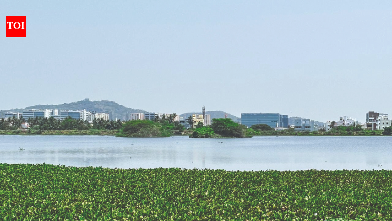 Discover Nanmangalam Forest This May: Your Weekend Nature Adventure Awaits?