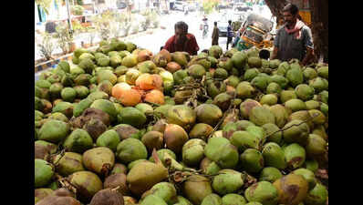 Uddanam imports coconuts amid production drop