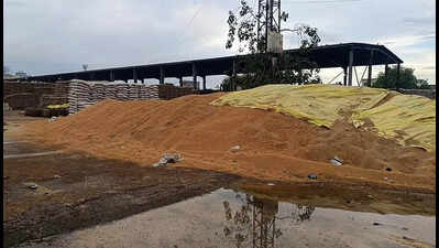 Rain exposes wheat at Kharkhoda mandi, delays in lifting draw flak