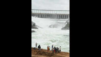 CWMA directs Karnataka govt to release 2.5tmcft to TN