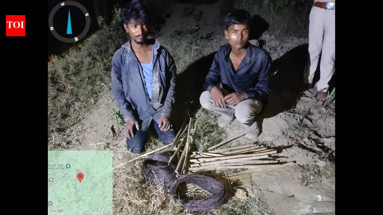 2 poachers caught setting up 11kV electrocution trap in Bettiah