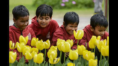 Govt plans unified care system for elderly, disabled people