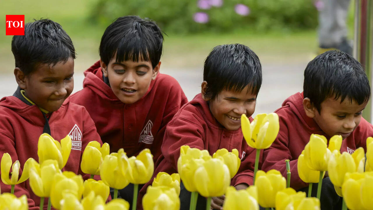 Govt plans unified care system for elderly, disabled people