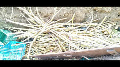 NMC team ‘dumps’ seized goods into nullah violating own Rs1 lakh penalty rule