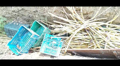 NMC team ‘dumps’ seized goods into nullah violating own Rs1 lakh penalty rule
