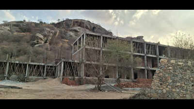 HC stays all construction, mining activities in Jawai leopard habitat