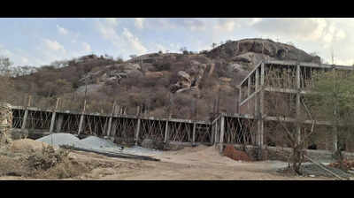HC stays all construction, mining activities in Jawai leopard habitat