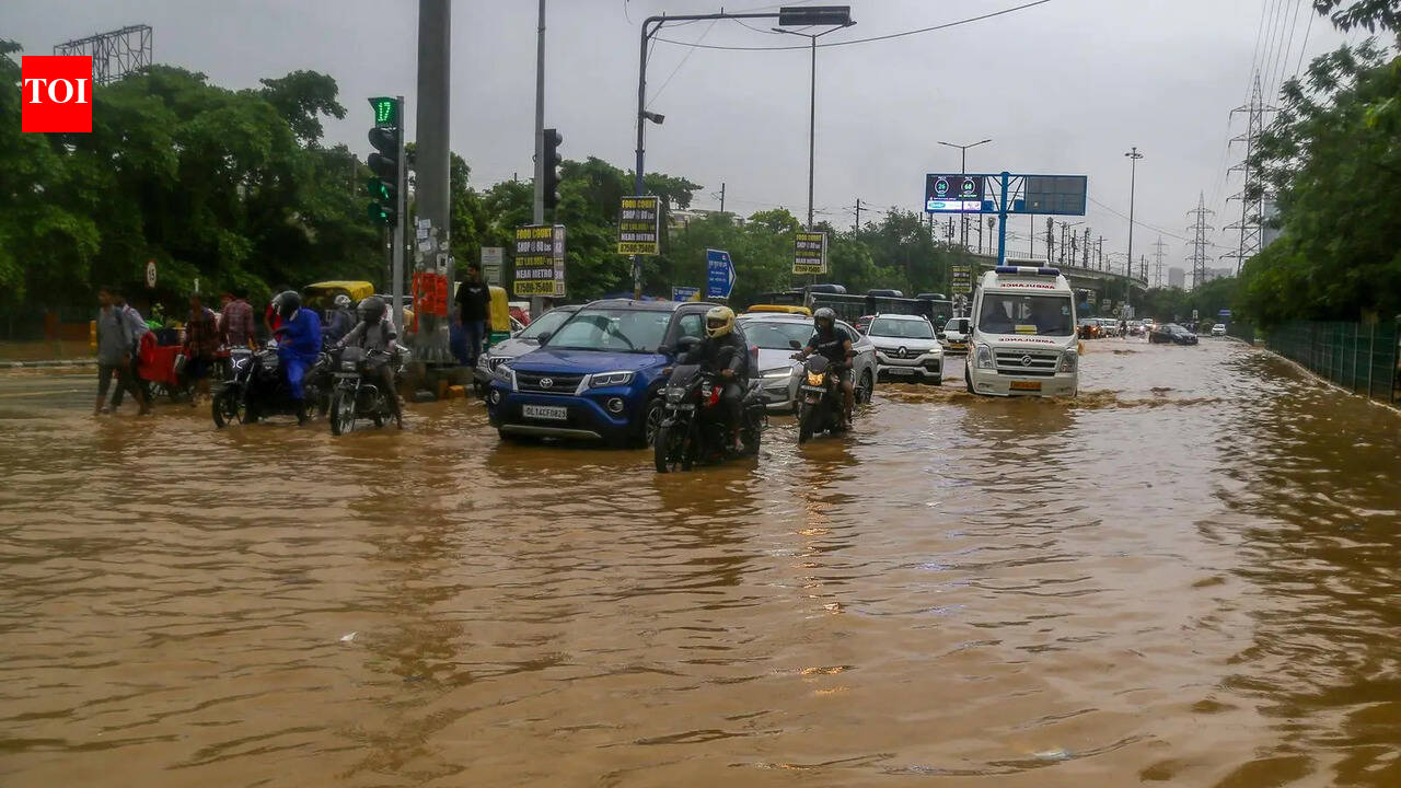 Haryana to conduct flood mock drill on May 14 across 13 vulnerable districts including Gurgaon and Faridabad