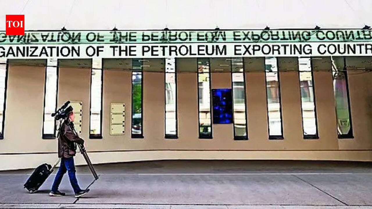 UAE's Opec exit, decision to up crude output could help India