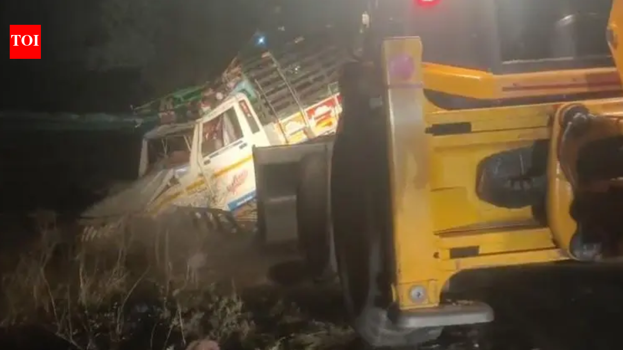12, including 3 kids, killed as overloaded pickup overturns, crashes into SUV in Madhya Pradesh