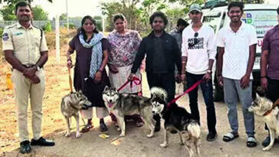 Deserted in the Sun: One Husky found dead on Hyderabad outskirts, 5 rescued