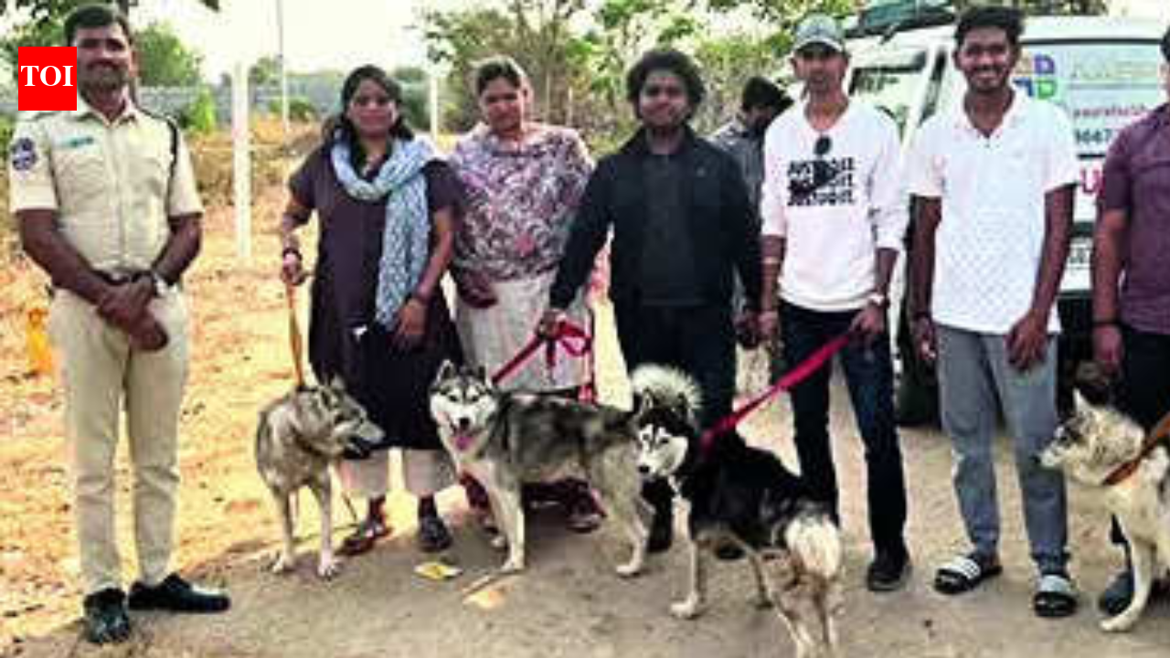 Deserted in the Sun: One Husky found dead on Hyderabad outskirts, 5 rescued