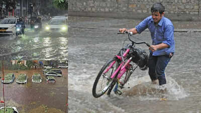 Electrocution, wall collapse, uprooted trees: How 1 hour of rain brought Bengaluru to its knees