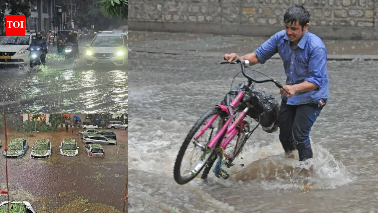 Electrocution, wall collapse, uprooted trees: How 1 hour of rain brought Bengaluru to its knees
