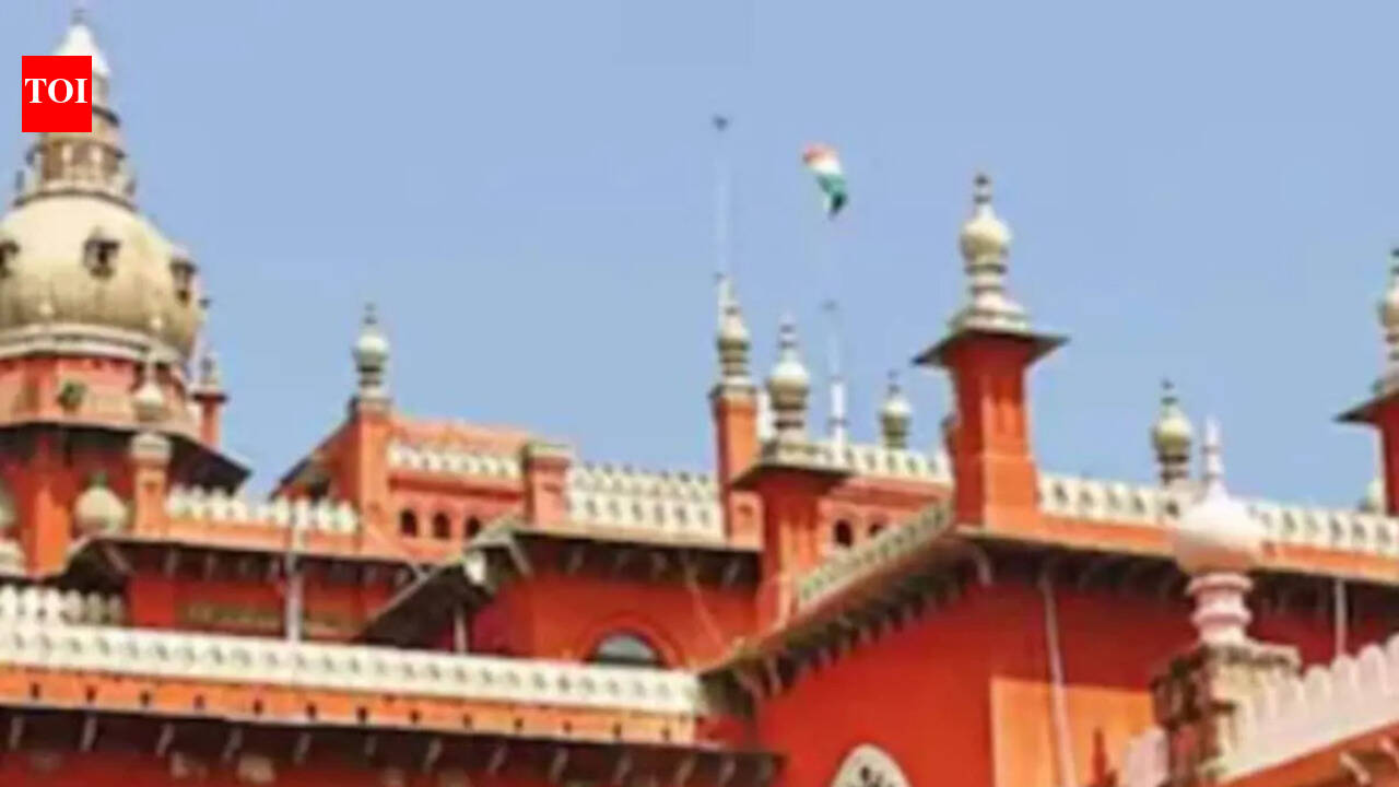 Allow leave for 3rd pregnancy: Madras HC to TN govt