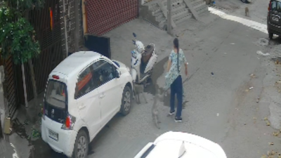 Woman chased, attacked by monkeys in Faridabad; sparks panic among locals