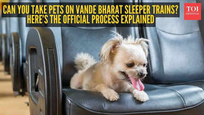 Can you take pets on Vande Bharat sleeper trains? Here’s the official process explained