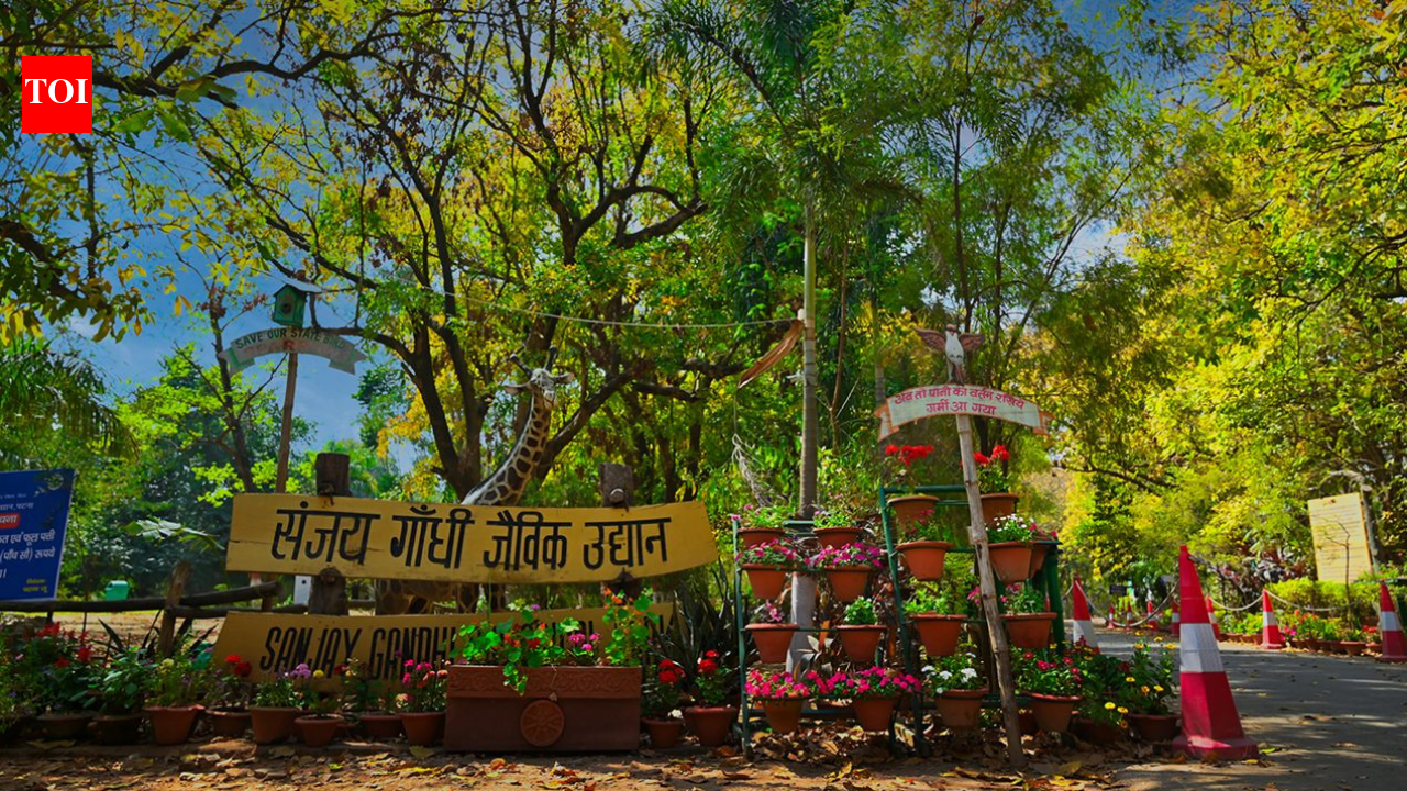 Samrat Choudhary cabinet removes Sanjay Gandhi's name from Patna zoo, dairy institute