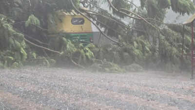 Hail in summer? Here’s why Bengaluru witnessed rare ice showers amid heat and humidity