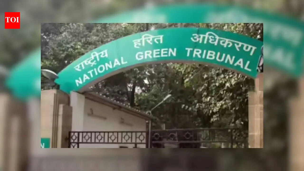 'Report on tree felling in city deficient'