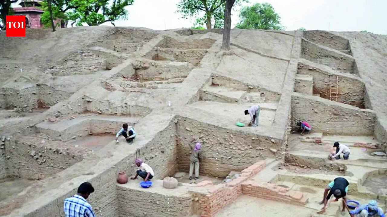 Uncovering history through curated routes: Purana Qila set for revamp