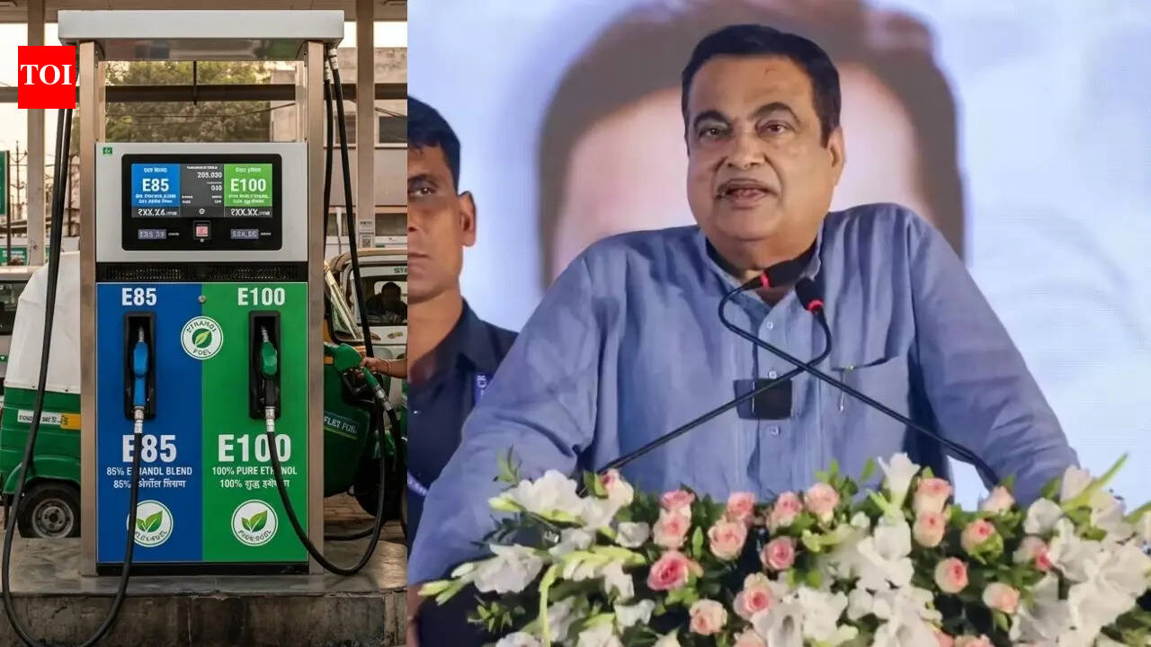Petrol, diesel vehicles have no future, says Nitin Gadkari