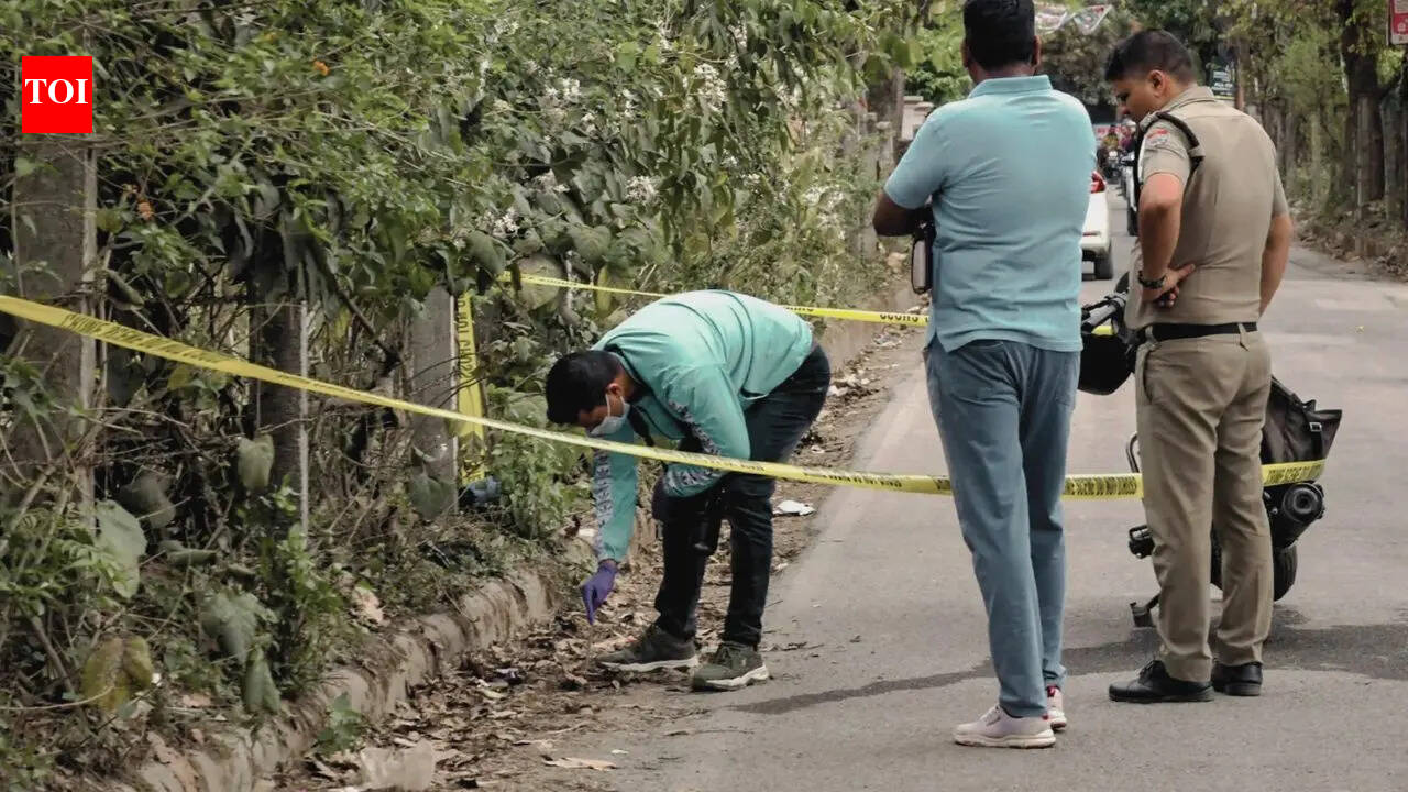 Revenge killing in Manesar: Sarpanch’s son guns down father’s killer out on parole