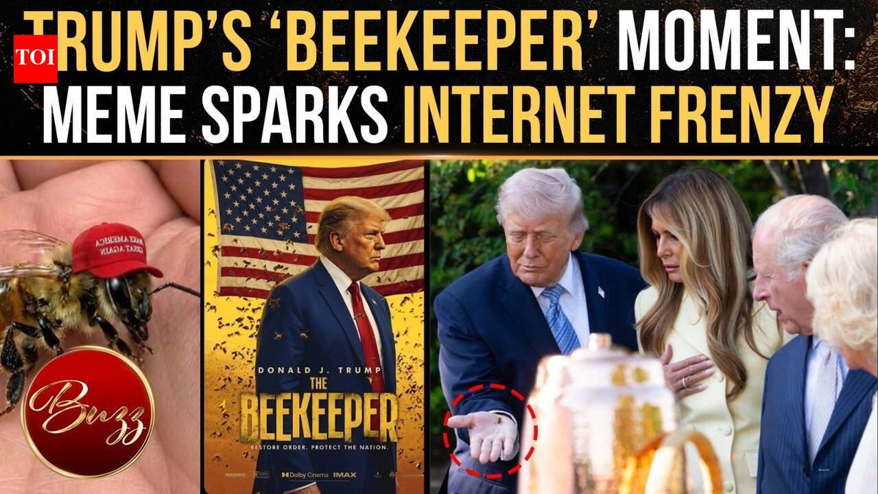 https://static.toiimg.com/thumb/msid-130626456,width-1280,height-720,imgsize-28964,resizemode-6,overlay-toi_sw,pt-32,y_pad-600/photo.jpg
