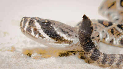  The shocking process behind hidden naming rules