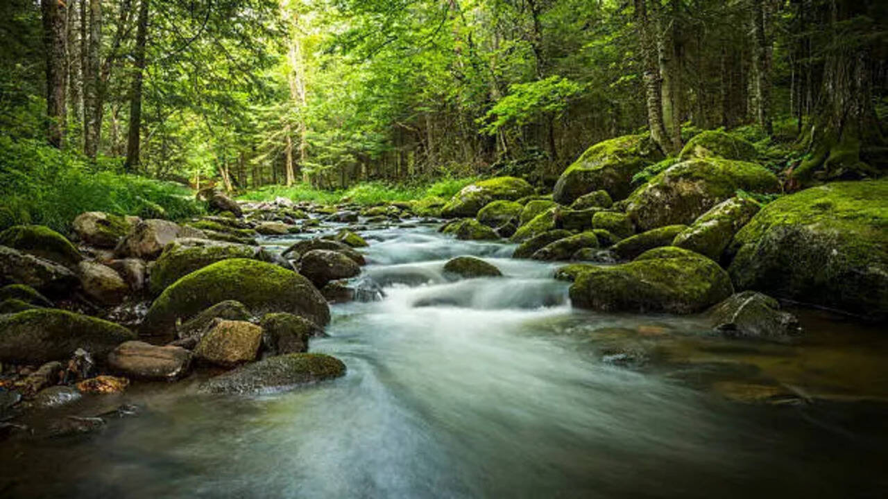Can Rivers Really Flow Backwards? 6 Surprising Examples and Why They Do