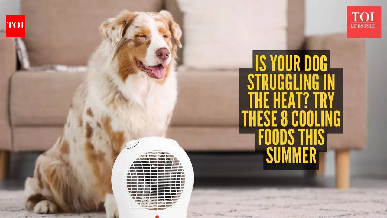 Is your dog struggling in the heat? Try these 8 cooling foods this summer