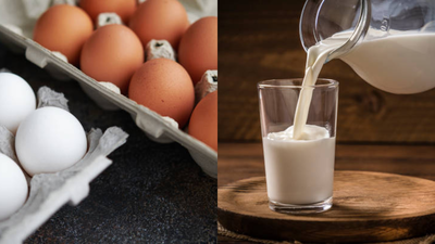  Which protein is actually better for your health?