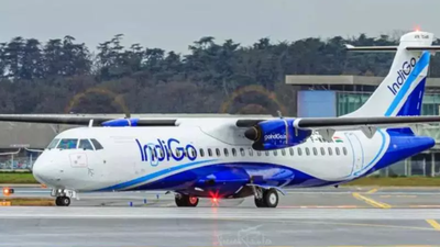 Monkey on runway forces IndiGo flight to abort take-off at Lucknow airport