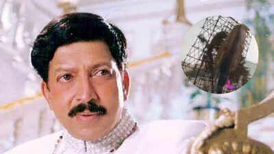 100-foot Vishnuvardhan cutout crashes on busy Bengaluru road; Internet reacts