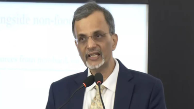 India can absorb global shocks, emerge stronger: CEA Nageswaran backs economy's resilience amid Middle East crisis