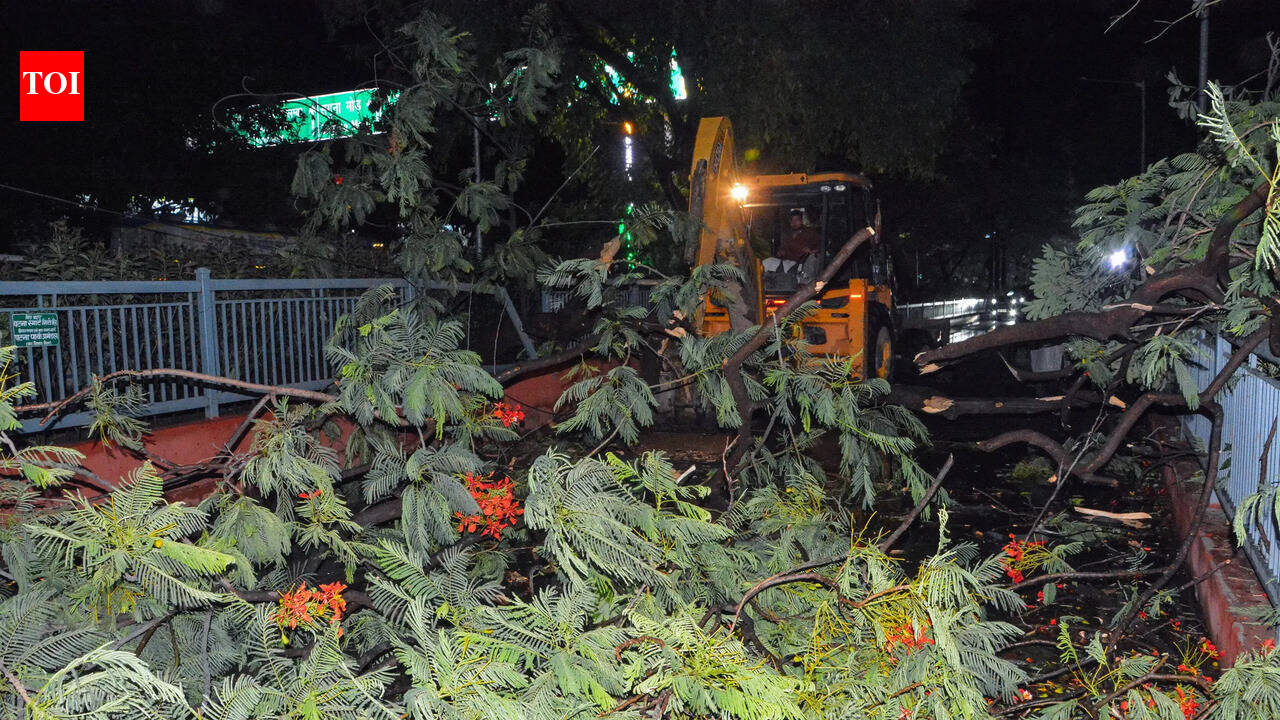 Storm disrupts power supply, topples 150-year-old tree in Dumraon